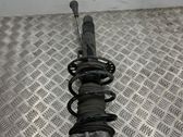Rear shock absorber/damper