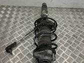 Rear shock absorber/damper