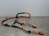 Other wiring loom