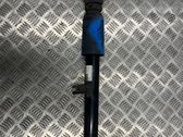 Rear shock absorber/damper
