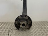 Rear wheel hub