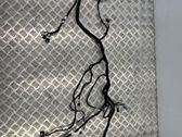 Other wiring loom