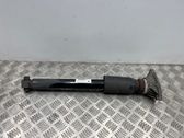 Rear shock absorber/damper