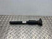 Rear shock absorber/damper