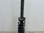 Rear shock absorber/damper