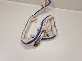 Roof airbag