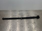 Drive shaft (set)