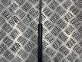 Tailgate strut