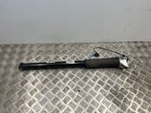 Stoßdämpfer hinten
