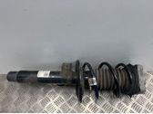 Front shock absorber/damper