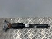 Rear shock absorber/damper