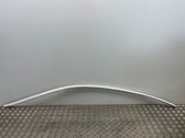 Roof trim bar molding cover