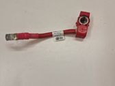 Positive wiring loom