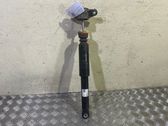 Stoßdämpfer hinten