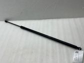 Tailgate/trunk strut/damper