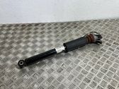 Rear shock absorber/damper