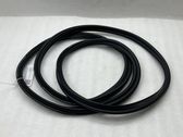 Trunk rubber seal (body)
