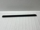 Front door trim (molding)