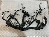 Faisceau de câblage pour moteur