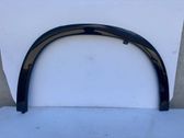 Fender trim (molding)