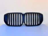 Front bumper upper radiator grill