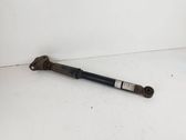 Stoßdämpfer hinten