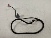 Sound system wiring loom