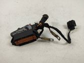 Other wiring loom