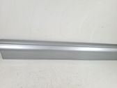 Front door trim (molding)