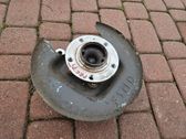 Rear wheel hub