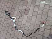 Other wiring loom