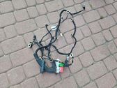 Front door wiring loom
