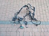 Conector de radio EUR ISO