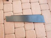 Rear door glass trim molding