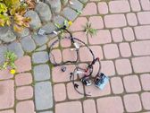 Other wiring loom