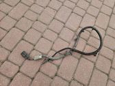 Gearbox/transmission wiring loom
