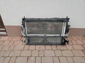 Radiator set