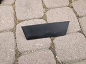 Manecilla interna puerta delantera