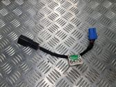 Other wiring loom