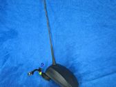 Radion antenni