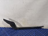 Windshield trim
