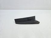 Rear/tail light trim molding