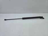 Tailgate/trunk strut/damper