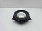 Rear door speaker