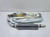 Airbag del techo