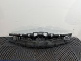 Front bumper upper radiator grill