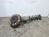 Front shock absorber with coil spring