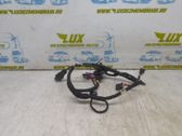 Front door wiring loom