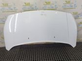 Engine bonnet/hood