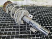 Front shock absorber with coil spring